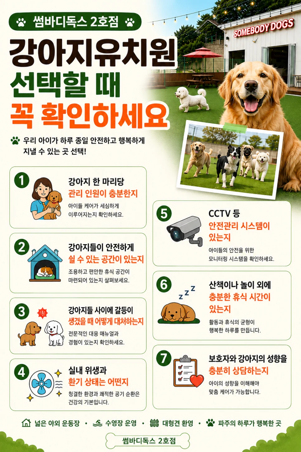강아지유치원 장점 7가지, 보내기 전 꼭 확인할 선택 기준 — 본문 이미지 5