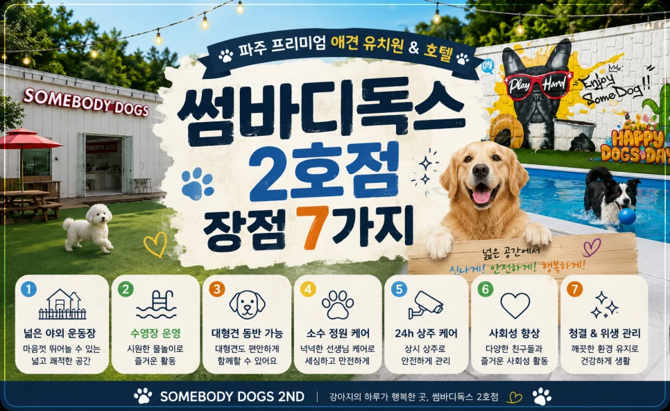 강아지유치원 장점 7가지, 보내기 전 꼭 확인할 선택 기준 — 본문 이미지 1