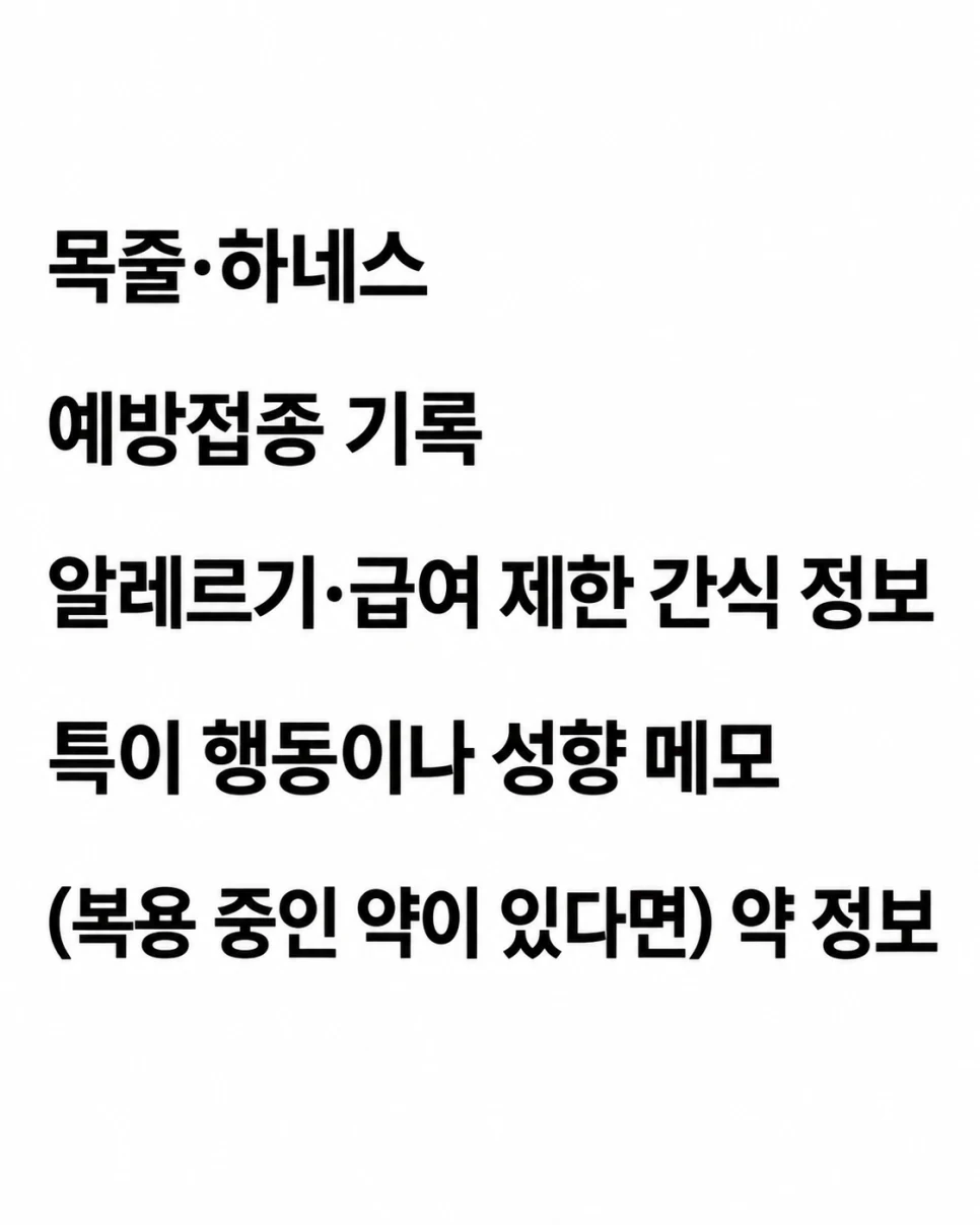강아지 유치원 준비물, 호텔과 뭐가 다를까요 — 본문 이미지 4