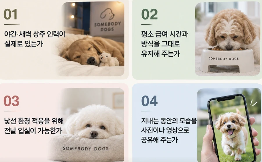 24시애견호텔, 진짜 24시간 상주인지 확인해야 하는 이유 — 본문 이미지 4