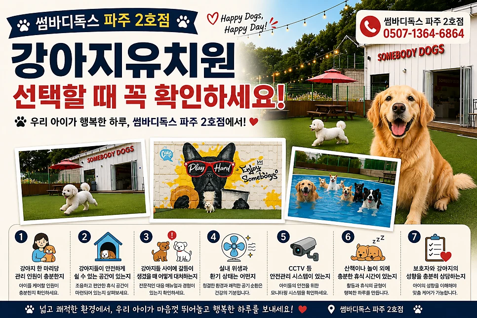 파주 강아지유치원 새 친구, 시온이의 첫 등원날 — 본문 이미지 9