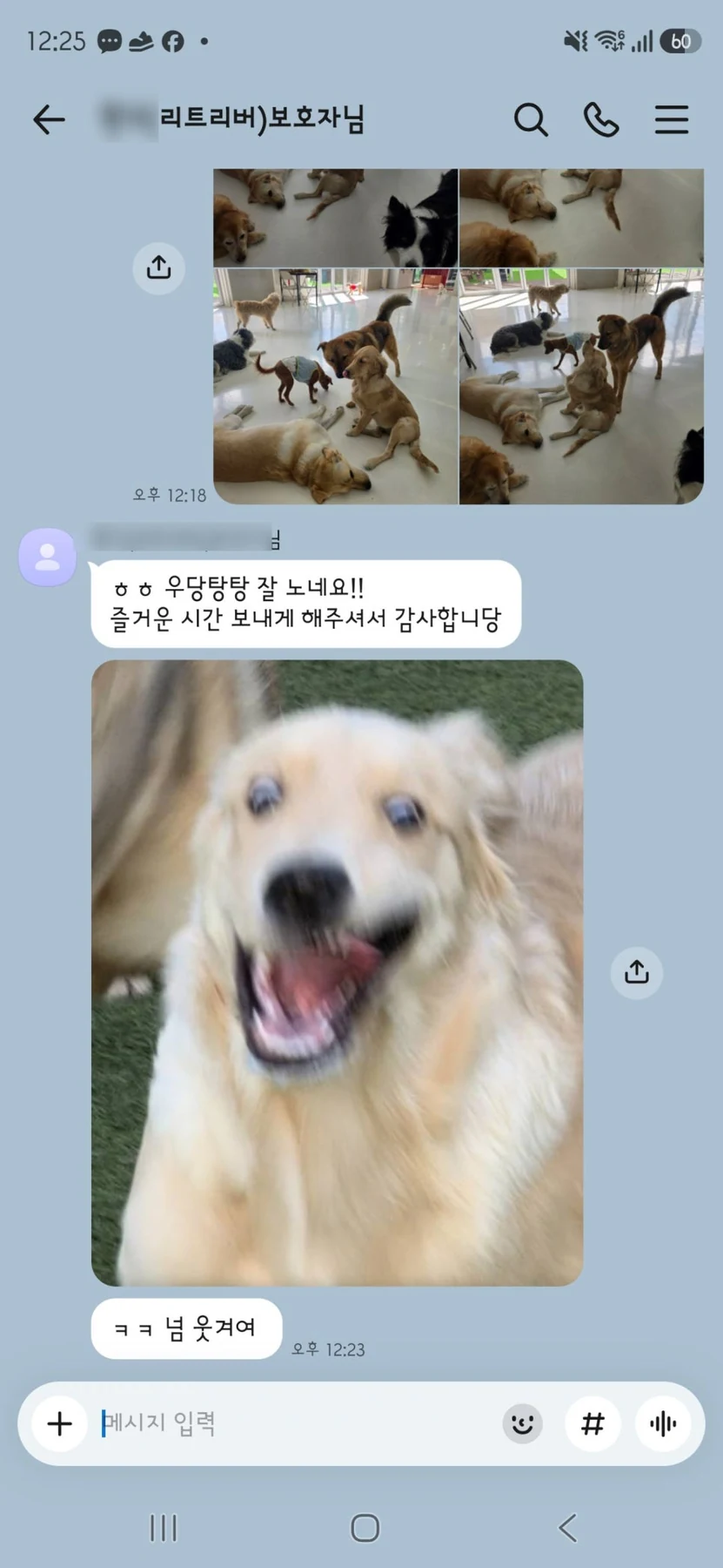 반려견유치원, 첫 방문에서 확인할 적응 기준 5가지 — 본문 이미지 5