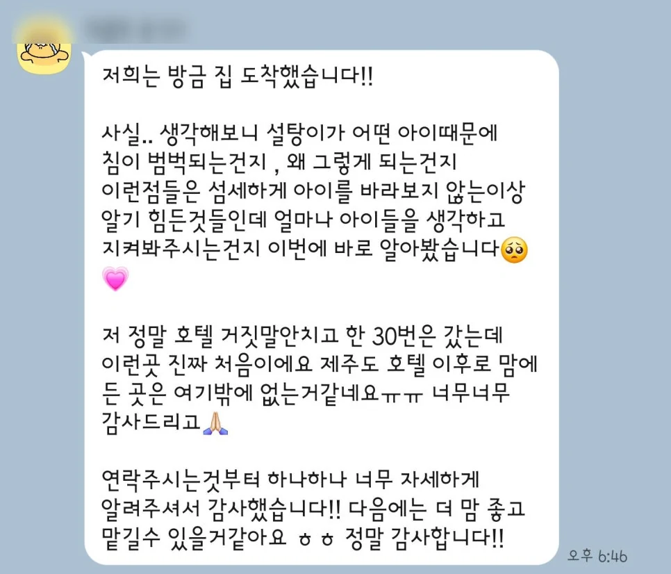 강아지데이케어, 유치원과 무엇이 다를까요? 당일 돌봄 선택 기준 — 본문 이미지 5